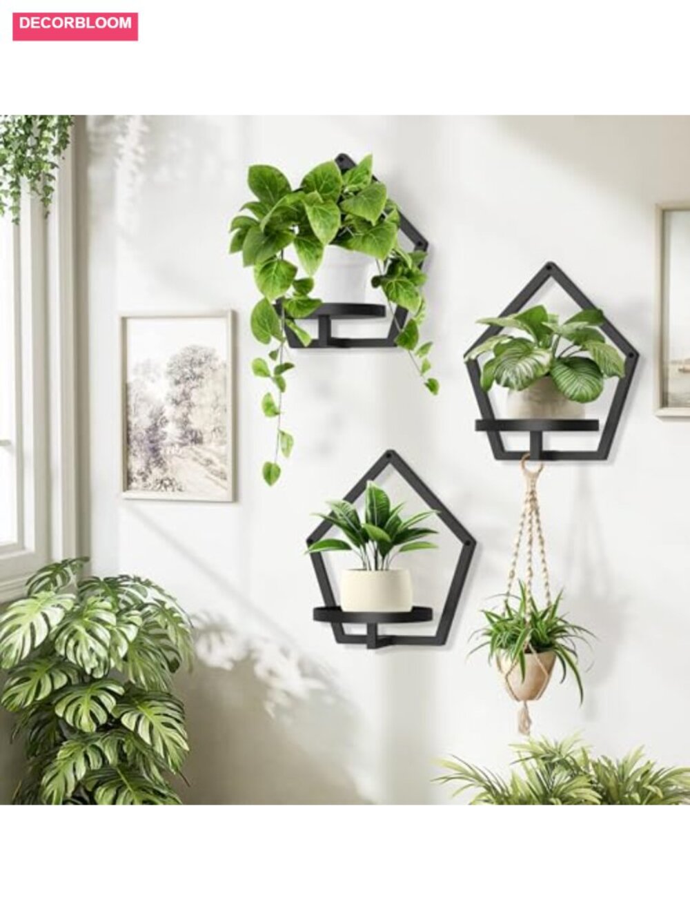 Metal Wall Hanging Planters for Indoor Plants, 7.9in Set of 2, Wall-Mounted - Picture 4 of 6